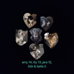 Profile Picture of Julian Plass (@Julian-Plass) on Facebook