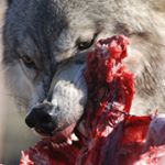 Profile Picture of Alexander Makarov (@m_alexander_e) on Instagram