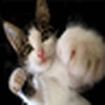 Profile Picture of Deepak Adhikari (@n0.0ne) on Flickr