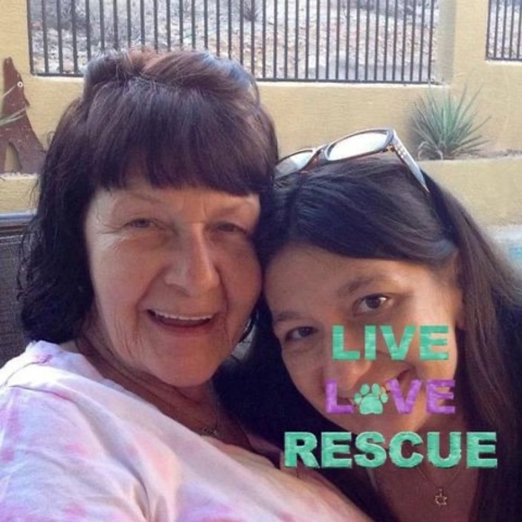 Profile Picture of Cherri Rippenkroeger (@cljrw) on Poshmark