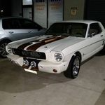 Profile Picture of Peter Cassar (@peter.cassar.70) on Instagram