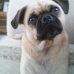 Profile Picture of Craig Barger (@craig.barger.779) on Instagram