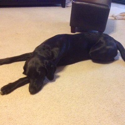 Profile Picture of Nick Kieffer (@nickkieffer) on Twitter