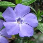 Profile Picture of Lucy Dreyer (@lucy_dreyer45) on Instagram