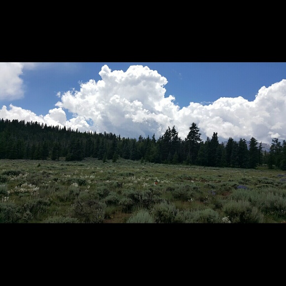 Profile Picture of Sheena Sobba (@ssobba) on Poshmark