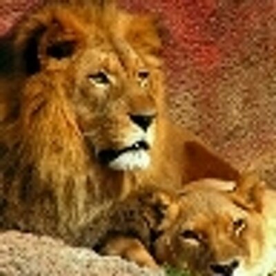 Profile Picture of Abdo Mozeb (@abdomozeb) on Twitter