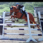 Profile Picture of Jo Moody Leg (@up Equine Services) on Tiktok