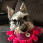 Profile Picture of Amber Ritter (@acritter83) on Instagram