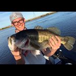 Profile Picture of KEVIN BALES (@kevinbales) on Instagram