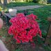 Profile Picture of Daniel Bouter (@daniel.bouter.7) on Facebook