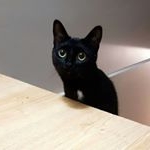 Profile Picture of Marcus Troy (@marcus_troy32) on Instagram