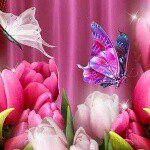 Profile Picture of rosetta sophia cordella (@rosetta_sophia_) on Instagram