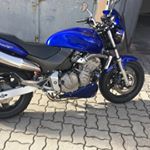 Profile Picture of David Stehlik (@stehlik72) on Instagram