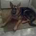 Profile Picture of Kyle Lattenhauer (@klatt1) on Pinterest