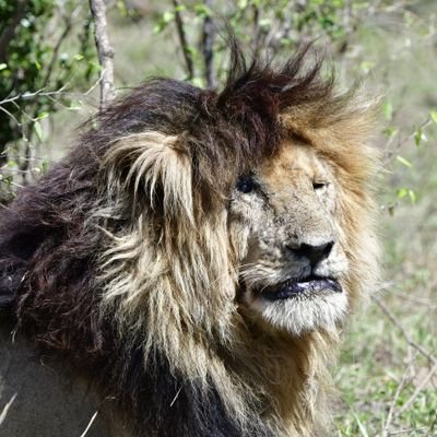 Profile Picture of Stuart Crowley (@StuCphotography) on Twitter