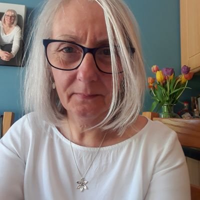 Gillian Fleming - Twitter Profile Picture of Gillian Fleming (@duneve96) on Twitter