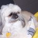 Profile Picture of Alma Singleton (@alma.singleton.75) on Facebook