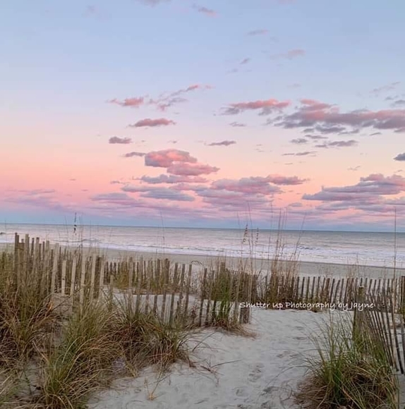 Profile Picture of Linda Bouchillon (@lindafbouch) on Poshmark