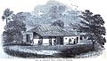 Profile Picture of Bentinck School, Veperyon Wikipedia