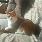 Profile Picture of Rita Schultz (@rita.schultz) on Instagram