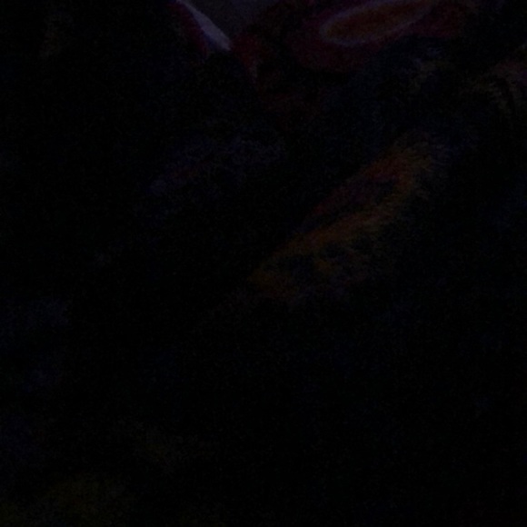 Profile Picture of Alexis Blotner (@ablotner31) on Poshmark