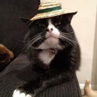 Profile Picture of Simon Nicholls (@simon-nicholls-3) on Quora