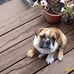 Profile Picture of Janet Yaeger (@janet.yaeger.1) on Facebook