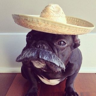 Profile Picture of Corey Nellis (@dragonegg8) on Facebook