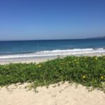 Profile Picture of Debbie Mowbray (@debbie.mowbray) on Instagram