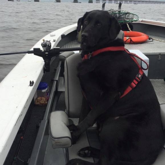 Profile Picture of Alex Wayne (@alexwayne95823) on Poshmark