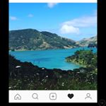 Profile Picture of Tia Proctor (@tia.proctor) on Instagram