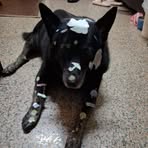 Profile Picture of 劉銨晴 (@liu.an.qing.952503) on Facebook