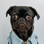 Profile Picture of Mark Tims (@marktimsonly) on Instagram