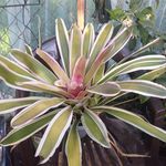 Profile Picture of Sandra N Terry Hamrick (@sandranterry) on Instagram