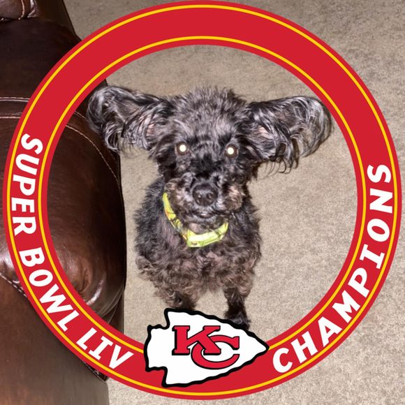 Profile Picture of Terry Streby (@tstreby) on Poshmark