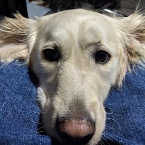 Profile Picture of scottdl (@scottloudermilk0) on Tiktok