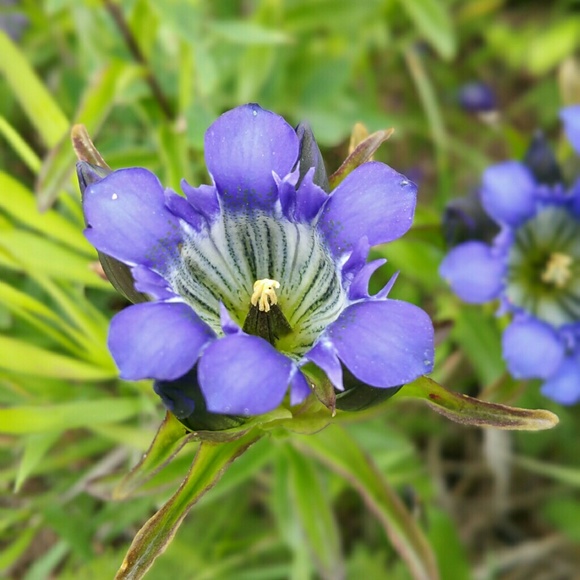 Mona Axmann - Poshmark Profile Picture of Mona Axmann (@monaax) on Poshmark