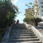 Profile Picture of Pamela Adams (@palmbeachpamela) on Instagram