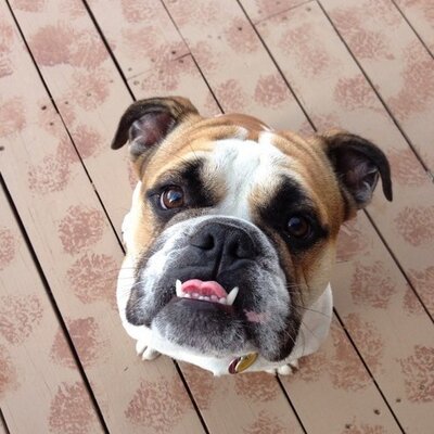 Profile Picture of Daniel Nabors (@DNABORSJR) on Twitter