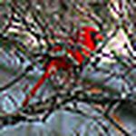 Profile Picture of Kim June (@Kim June) on Flickr