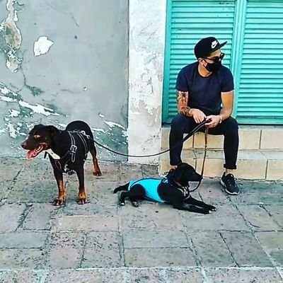 Profile Picture of Luis Adrian (@LashSantos) on Twitter