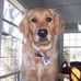 Profile Picture of Chip Royer (@chip.royer.3) on Facebook
