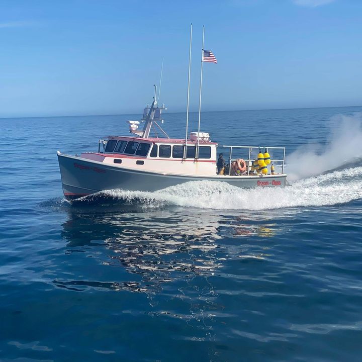 Profile Picture of jonathanchipman0 (@jonathanchipman0) on Tiktok