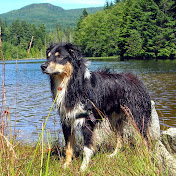 Profile Picture of Gary Bradshaw (@garybradshaw4114) on Youtube