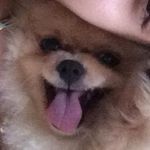 tony braga barreto - Instagram Profile Picture of tony braga barreto (@tonybragabarreto) on Instagram