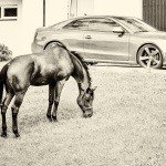 Profile Picture of Strout (@stroutstanley7h) on Instagram