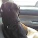 Profile Picture of Bill Duggan (@billduggan64) on Pinterest