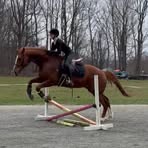 Profile Picture of Lora Stephens (@Lora-Stephens) on Facebook