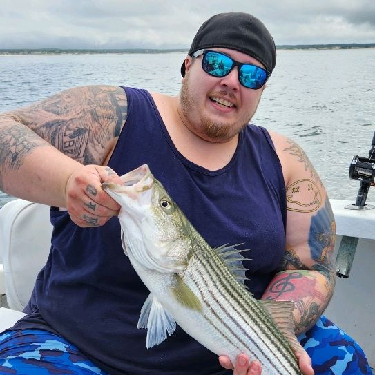 Danny Gassett - Tiktok Profile Picture of Danny Gassett (@dannygassett) on Tiktok