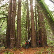 Profile Picture of John Slaymaker (@johnslaymaker) on Youtube